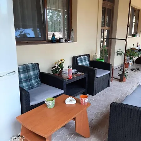Casa Mirela Homestay *