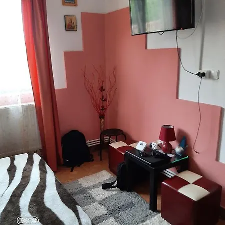 Casa Mirela Homestay *